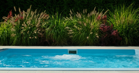 A clean swimming pool with bubbling water is set against a backdrop of lush, ornamental grasses.