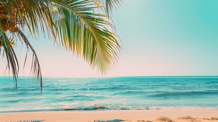 Obraz premium A palm tree is in front of the ocean