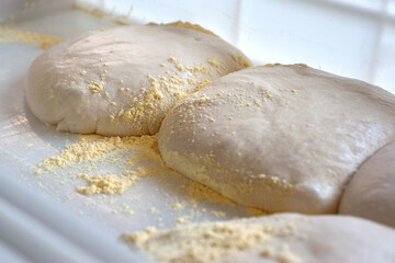 forming pizza blanks from fermented dough in a container
