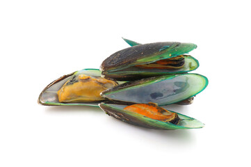 Green Shell mussels isolated on white background, Fresh New Zealand mussels or Perna Canaliculus on...