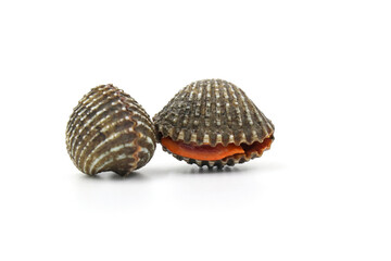 This is a close-up photo of a white background clam shell, commonly known as a cockle. seafood. This shell is often found on sandy.
