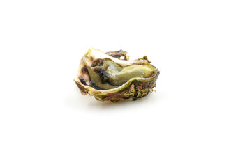 Fresh oysters isolated on a white background. Sea symptoms. Nourish the body.