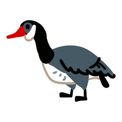 Mallard Duck Cartoon Animal Illustration isolated on white background. Bird zoo character