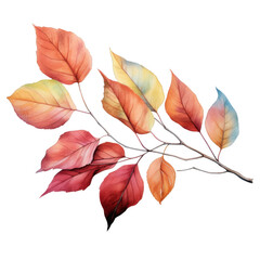 Fototapeta premium Watercolor illustration of a branch with colorful autumn leaves