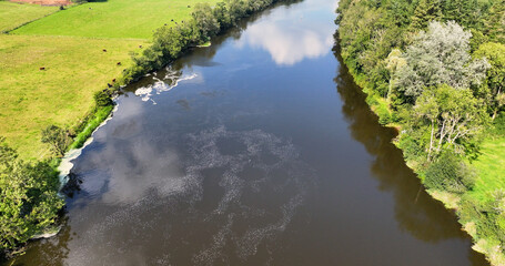 Aerial view of Blue green algae at the Canoe trail at Movanagher Lock Kilrea on The River Bann from Lough Neagh Northern Ireland