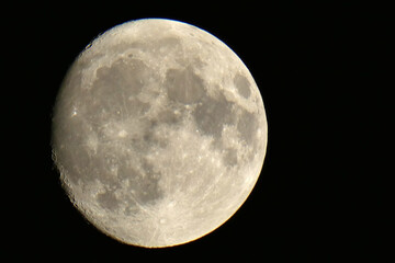 Luna © Steve Fossiant