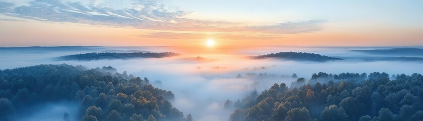 Obraz premium Sunrise over a misty forest, with a golden glow.