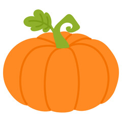 pumpkin and leaves illustration 