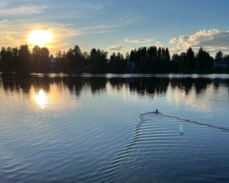A Bird Swimming in the Sunset in a peaceful lake