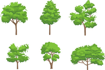 Trees set. Botanical elements, tree elevation. landscape. A collection of tree design drawing graphics and plants. tree symbols or trees icons.