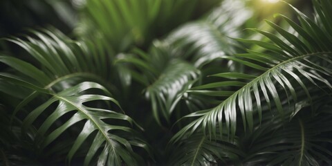 Fototapeta premium fresh green palm leaves tropical background.