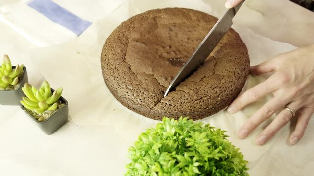 A woman cuts a chocolate biscuit cake with a knife into two thin parts Slicing fresh chocolate brownies with knife sponge cake