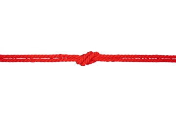 Knotted red rope isolated transparent