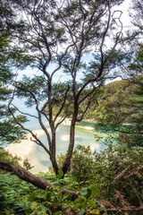 Abel Tasman national park, New Zealand