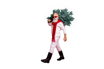 Full length body size profile side view nice attractive trendy handsome content strong gray-haired man in pullover sweater pants boots carrying green tree isolated on bright vivid shine red background