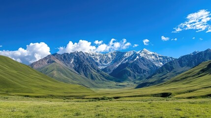 Fototapeta premium Scenic view of a mountain range with clear blue skies and green meadows, perfect for a summer adventure
