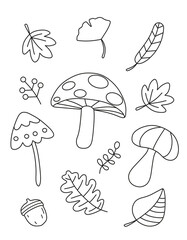 Autumn coloring page for kids. Coloring page with cartoon forest mushrooms, leaves, acorn, and branches.