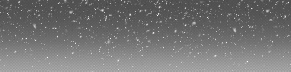 Christmas winter background from snowflakes blown by the wind on a background. White dust light png. Heavy snowfall, snowflakes in different shapes and forms.