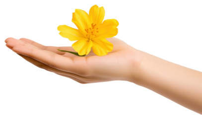 PNG Yellow flower on hand finger petal plant.