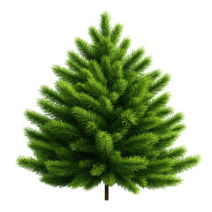 A vibrant green evergreen tree, perfect for holiday decorations, nature-themed designs, or festive occasions.