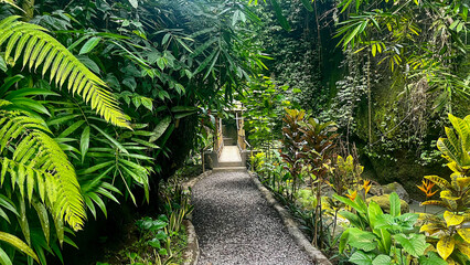 Fototapeta premium Stone path leading through the lush jungle near Tibumana Waterfall - Bali, Indonesia