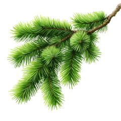 Naklejka premium A vibrant pine branch featuring lush green needles, perfect for nature themes and holiday decorations.