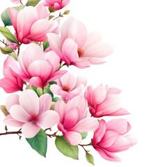 Fototapeta premium Beautiful pink magnolia flowers in full bloom, showcasing delicate petals and vibrant colors, perfect for spring-themed designs.