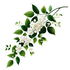 Fototapeta premium Elegant white floral arrangement with lush green leaves, perfect for spring or nature-themed designs.
