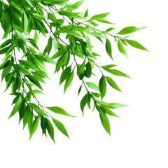 Naklejka premium Fresh green leaves showcasing vibrant foliage, ideal for nature-themed designs and backgrounds, representing growth and vitality.