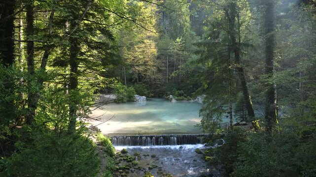 Fresh Clean Water Flowing Down a Small Waterfall in a Forest at Kamni&scaron;ka Bistrica Spring