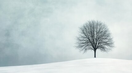Fototapeta premium Winter scene with a snowy landscape and a lone, leafless tree standing against a soft, overcast sky