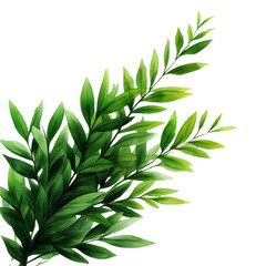 Fototapeta premium Lush green tropical leaf branch, perfect for nature-themed designs, adding freshness and vibrancy to your projects.