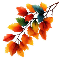 Fototapeta premium Vibrant autumn leaves in shades of orange, yellow, and green create a beautiful natural composition for seasonal decor.