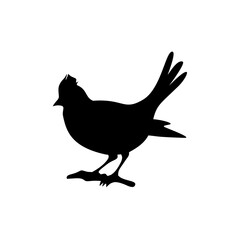 Bird silhouette vector art design