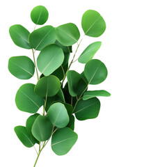 Vibrant green leaves arranged beautifully, perfect for adding a touch of nature to your designs or projects.