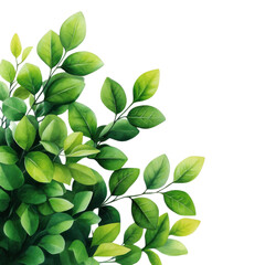 Vibrant green leaves create a lush, natural look, perfect for backgrounds or eco-friendly designs.