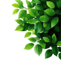 Vibrant green leaves creating a fresh and lively nature background, perfect for environmental themes.