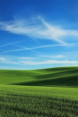 Obraz premium A well-trimmed green grass field with blue sky 