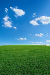 Fototapeta premium A well-trimmed green grass field with blue sky 