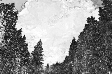 Perspective view of a summer forest, woods pencil drawn sketchy draft illustration