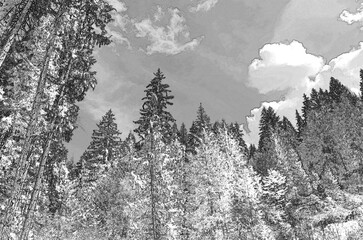 Perspective view of a summer forest, woods pencil drawn sketchy draft illustration