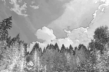 Perspective view of a summer forest, woods pencil drawn sketchy draft illustration