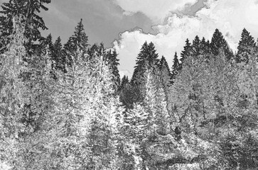 Perspective view of a summer forest, woods pencil drawn sketchy draft illustration