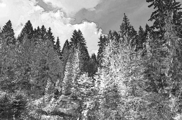 Green mountain forest in the light of summer sun, Pencil drawn sketchy draft illustration