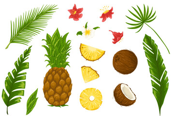 Tropical fruits and leaves vector set. Hand drawn cartoon illustrations of whole and chopped pineapple, coconut, palm leaves, flowers. Graphic print for menu, stickers, beauty products, package design