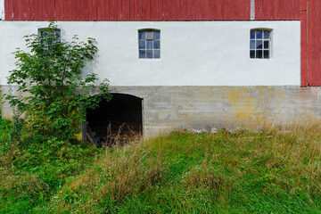 A charming rustic landscape unfolds with a vibrant red barn and whitewashed stone foundation, surrounded by lush greenery and wild grass, evoking a sense of tranquility.