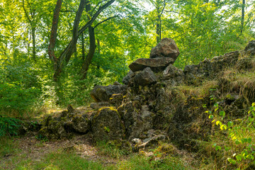 rock formation in a forest with moss growing on it