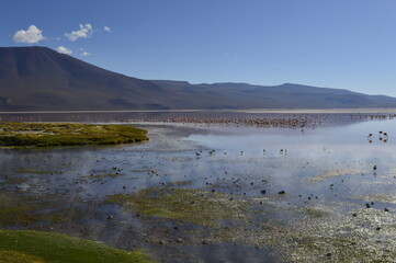 Paisagem de lago secando