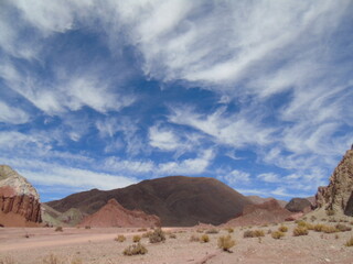 Chile's desert