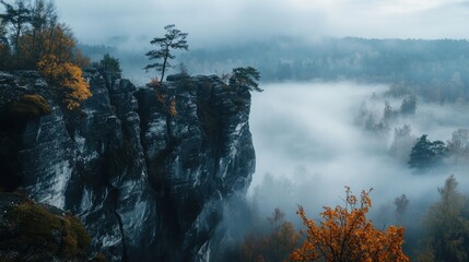 Saxon Switzerland in the misty autumn mood
